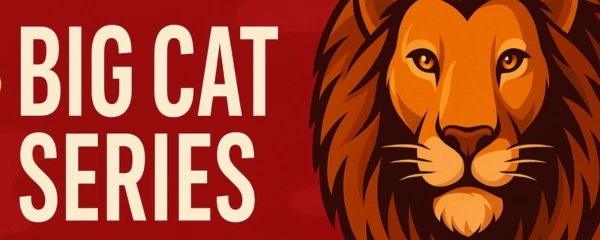 Big Cat Series Bonus