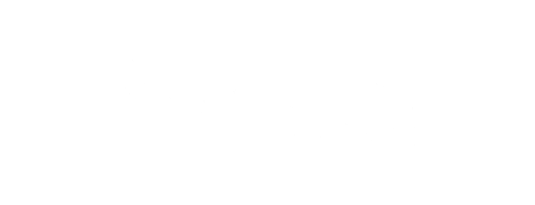 Logo Stake Casino